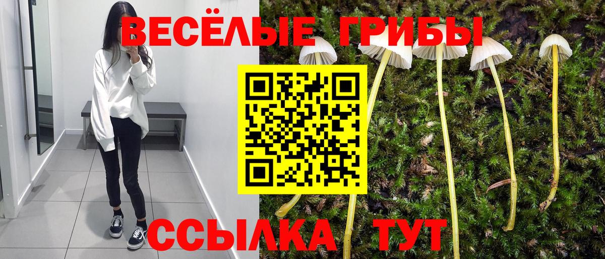 Галлюциногенные грибы мухоморы Сафоново
