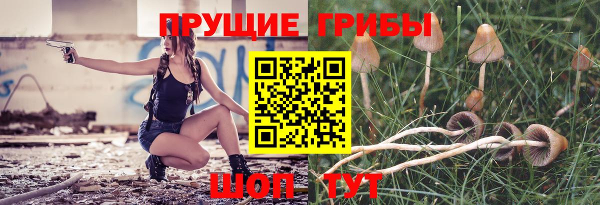 Галлюциногенные грибы мицелий  купить наркотик  Сафоново  Вход с VPN 