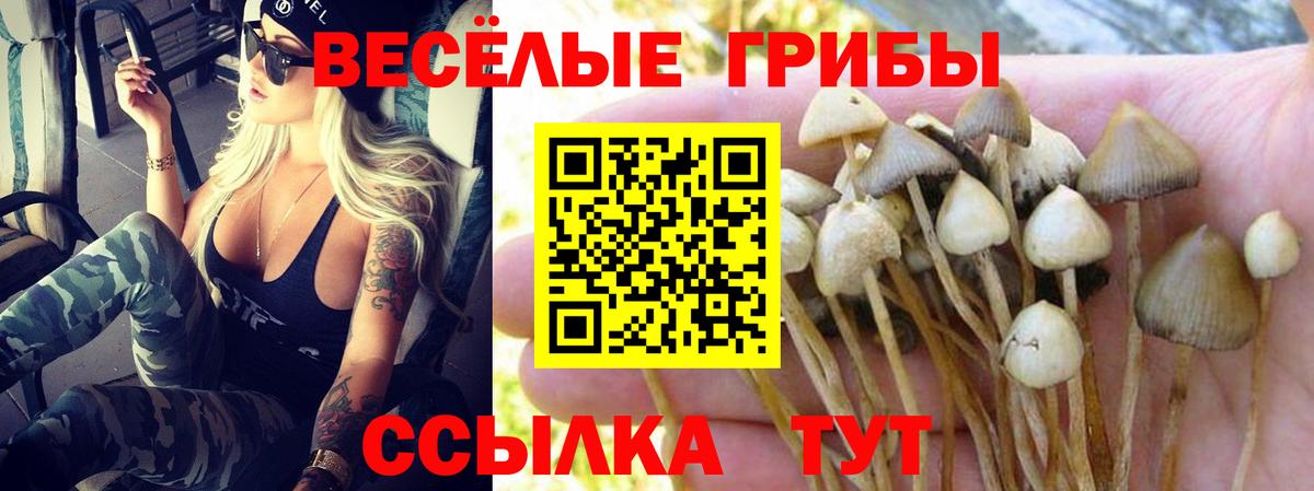 Сафоново  Вход с VPN  ТГК  Кокаин  Меф МЯУ МЯУ   Конопля  ГАШ 